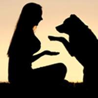 索女Dog Come - sokneoi.com